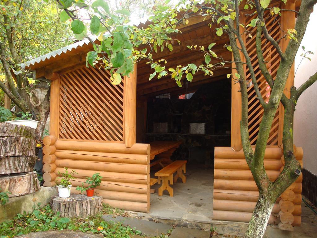 Vyshenka Guest House Jaremcse Kültér fotó